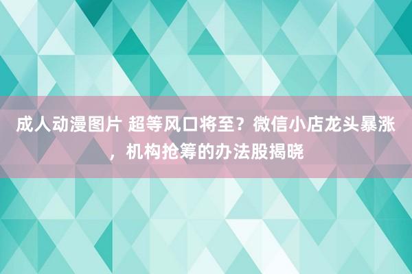 成人动漫图片 超等风口将至？微信小店龙头暴涨，机构抢筹的办法股揭晓