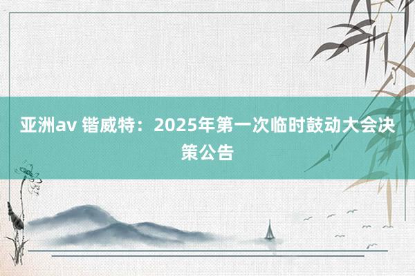 亚洲av 锴威特：2025年第一次临时鼓动大会决策公告