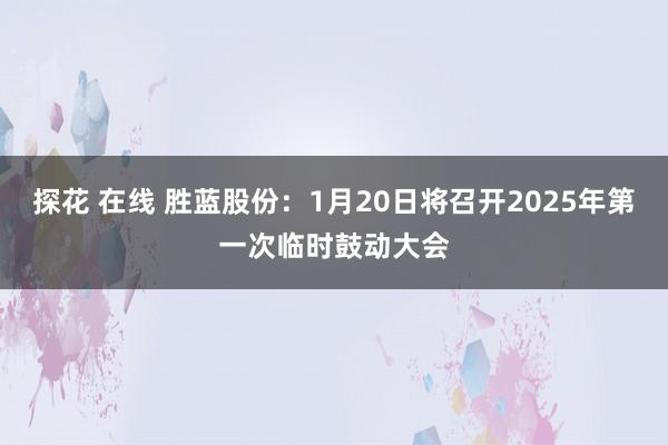 探花 在线 胜蓝股份：1月20日将召开2025年第一次临时鼓动大会