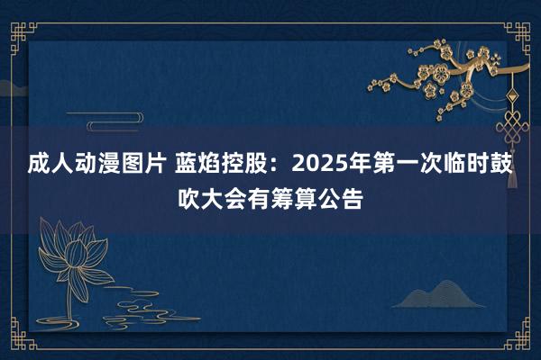 成人动漫图片 蓝焰控股：2025年第一次临时鼓吹大会有筹算公告