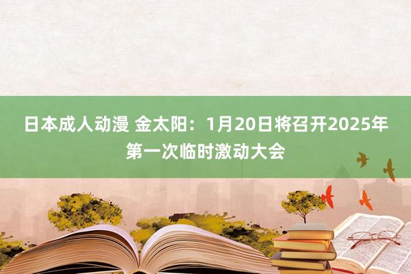 日本成人动漫 金太阳：1月20日将召开2025年第一次临时激动大会