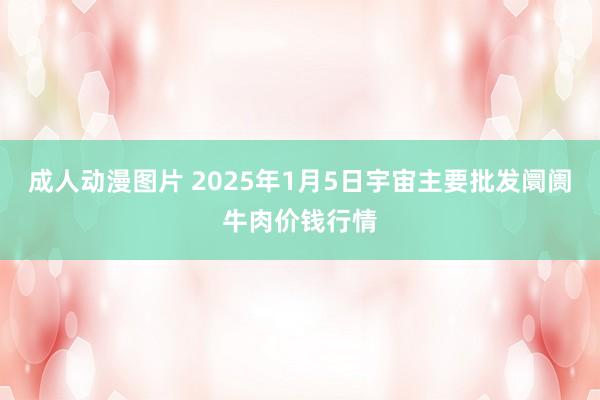 成人动漫图片 2025年1月5日宇宙主要批发阛阓牛肉价钱行情