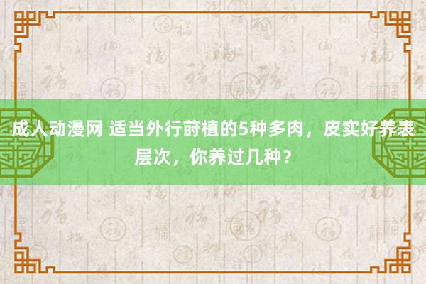 成人动漫网 适当外行莳植的5种多肉，皮实好养表层次，你养过几种？