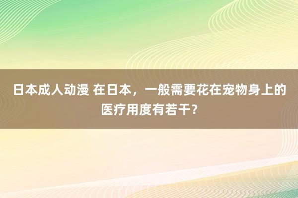 日本成人动漫 在日本，一般需要花在宠物身上的医疗用度有若干？