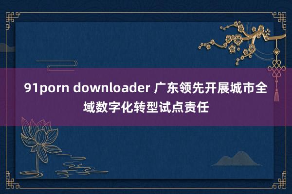 91porn downloader 广东领先开展城市全域数字化转型试点责任