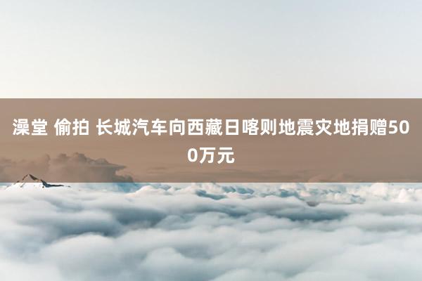 澡堂 偷拍 长城汽车向西藏日喀则地震灾地捐赠500万元