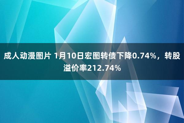 成人动漫图片 1月10日宏图转债下降0.74%，转股溢价率212.74%