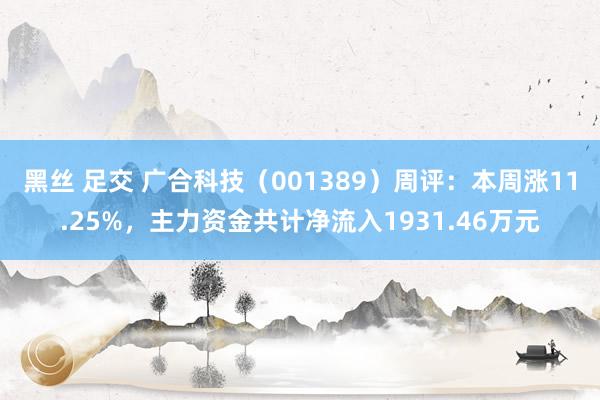 黑丝 足交 广合科技（001389）周评：本周涨11.25%，主力资金共计净流入1931.46万元