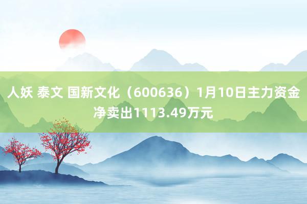 人妖 泰文 国新文化（600636）1月10日主力资金净卖出1113.49万元