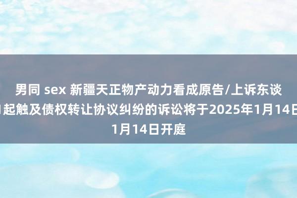 男同 sex 新疆天正物产动力看成原告/上诉东谈主的1起触及债权转让协议纠纷的诉讼将于2025年1月14日开庭