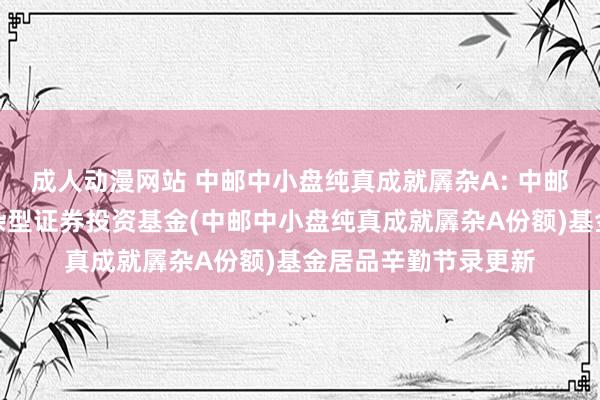 成人动漫网站 中邮中小盘纯真成就羼杂A: 中邮中小盘纯真成就羼杂型证券投资基金(中邮中小盘纯真成就羼杂A份额)基金居品辛勤节录更新