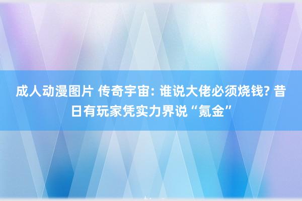 成人动漫图片 传奇宇宙: 谁说大佬必须烧钱? 昔日有玩家凭实力界说“氪金”