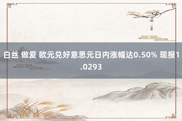 白丝 做爱 欧元兑好意思元日内涨幅达0.50% 现报1.0293