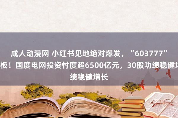 成人动漫网 小红书见地绝对爆发，“603777”5连板！国度电网投资忖度超6500亿元，30股功绩稳健增长