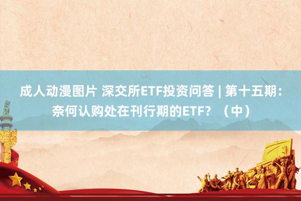 成人动漫图片 深交所ETF投资问答 | 第十五期：奈何认购处在刊行期的ETF？（中）