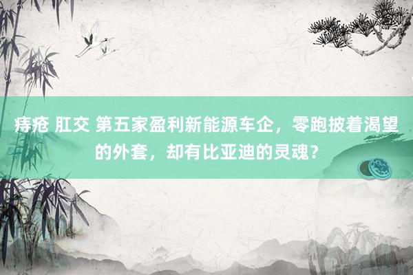 痔疮 肛交 第五家盈利新能源车企，零跑披着渴望的外套，却有比亚迪的灵魂？