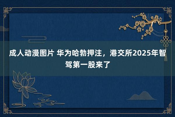 成人动漫图片 华为哈勃押注，港交所2025年智驾第一股来了