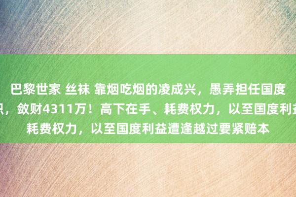 巴黎世家 丝袜 靠烟吃烟的凌成兴，愚弄担任国度香烟专卖局局长等职，敛财4311万！高下在手、耗费权力，以至国度利益遭逢越过要紧赔本